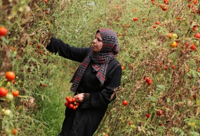 مشروع Start Up Palestine